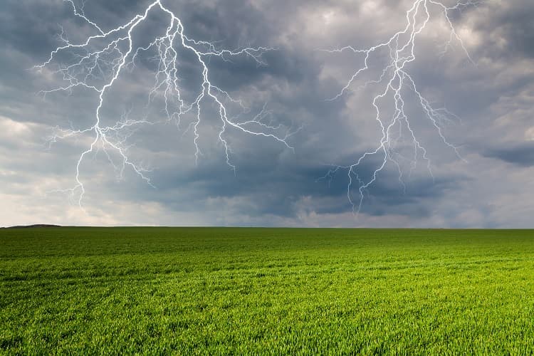 Imagem da notícia Mudança climática acelera perdas na produção de alimentos Imagem da notícia Mudança climática acelera perdas na produção de alimentos