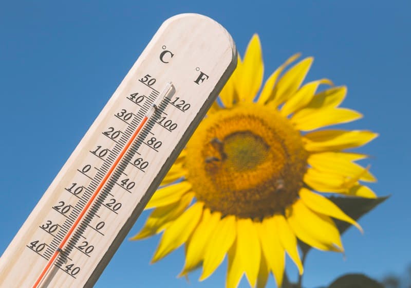 Imagem de destaque da notícia Calor ainda predomina no Brasil no fim de semana Imagem de destaque da notícia Calor ainda predomina no Brasil no fim de semana