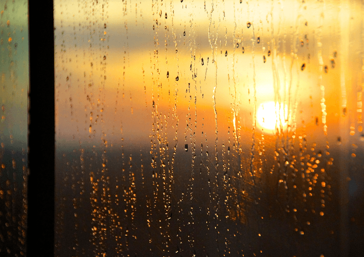 Calor continua no Centro-Oeste e chuva volta a ganhar força em MS e MT Calor continua no Centro-Oeste e chuva volta a ganhar força em MS e MT
