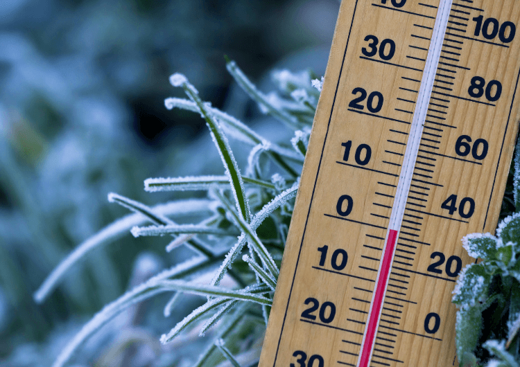 Imagem da notícia Massa de ar polar mais intensa de 2026 deve derrubar as temperaturas no Sul Imagem da notícia Massa de ar polar mais intensa de 2026 deve derrubar as temperaturas no Sul