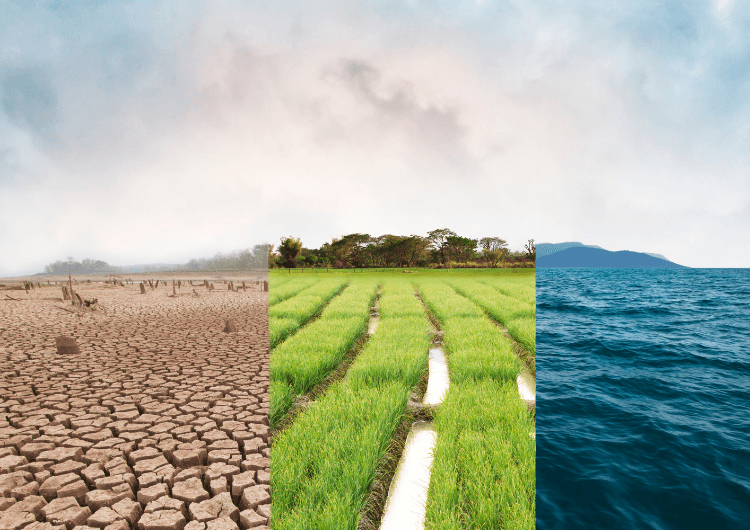 Imagem Risco climático já influencia investimentos, operações e lucros das empresas no Brasil Imagem Risco climático já influencia investimentos, operações e lucros das empresas no Brasil