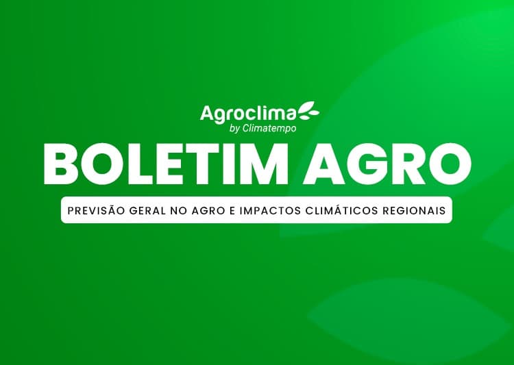 Imagem de destaque da notícia Previsão para o Agro na Semana da Páscoa: chuvas avançam no Sul e Sudeste e calor pressiona lavouras Imagem de destaque da notícia Previsão para o Agro na Semana da Páscoa: chuvas avançam no Sul e Sudeste e calor pressiona lavouras