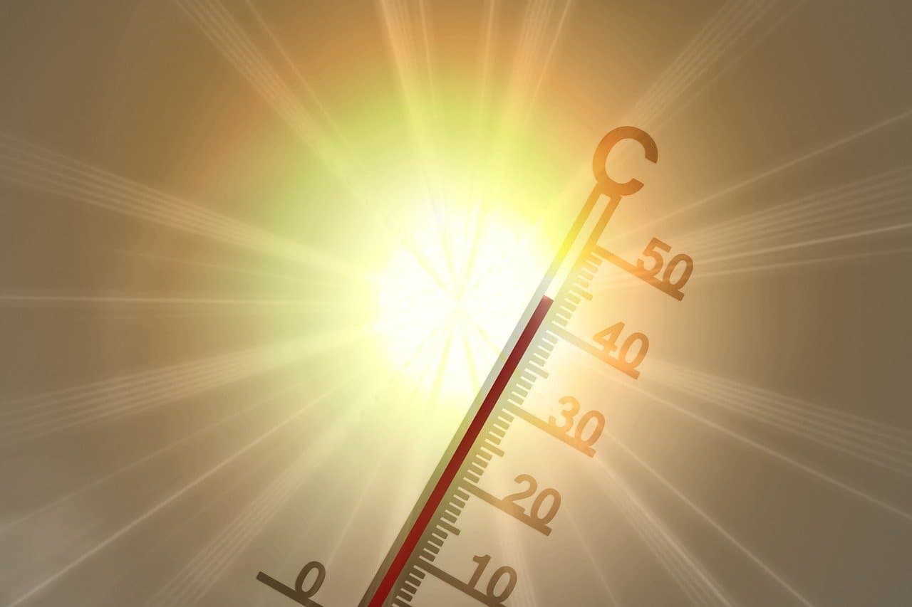 Imagem da notícia Com mais de 43°C, Nova Xavantina (MT) registra maior temperatura no Brasil em 2026 Imagem da notícia Com mais de 43°C, Nova Xavantina (MT) registra maior temperatura no Brasil em 2026