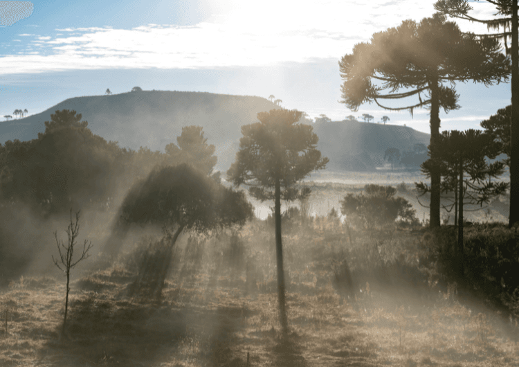 Frio nas Serras do Sul: mínimas ficam perto de 9°C nesta quarta Frio nas Serras do Sul: mínimas ficam perto de 9°C nesta quarta